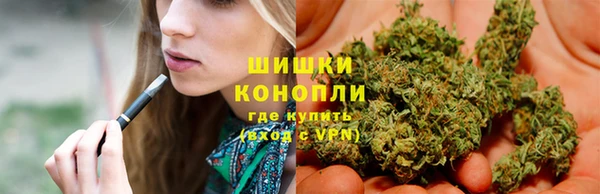 молекула духа Каменногорск