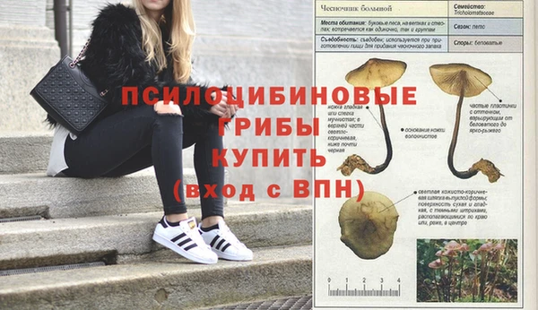 молекула духа Каменка