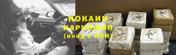 молекула духа Каменка