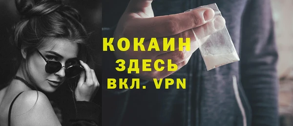 молекула духа Каменка
