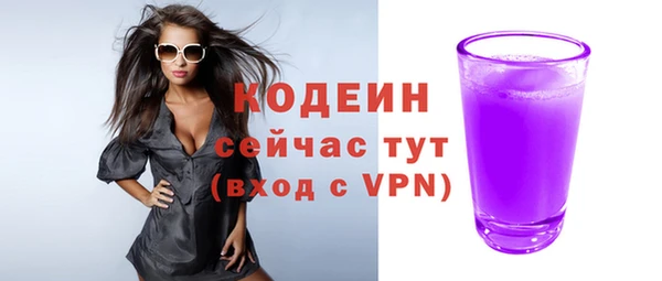 молекула духа Каменка