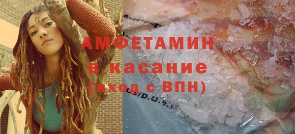 молекула духа Каменка