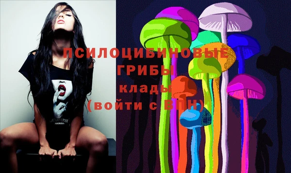 молекула духа Каменногорск