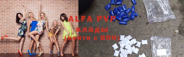 молекула духа Каменногорск