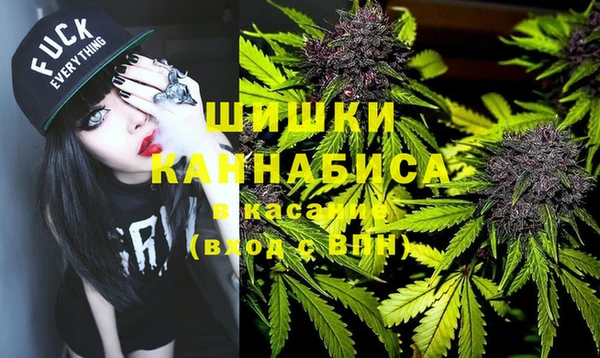 молекула духа Каменка