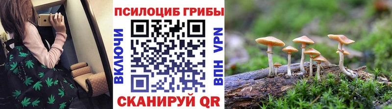 Купить где  Нариманов  Галлюциногенные грибы Psilocybine cubensis 